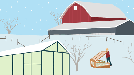 Winter Gardening