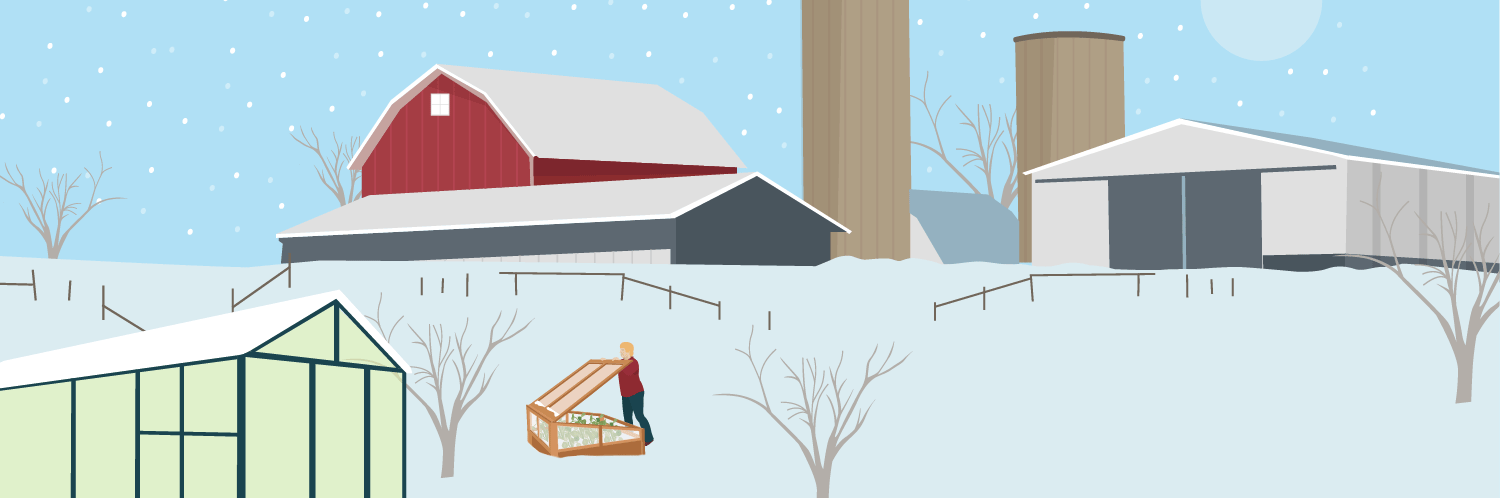 Winter Gardening