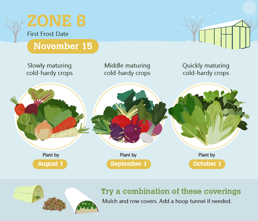 3 Quick Winter Gardening Tips For Zones, Garden Planting Schedule Zone 8