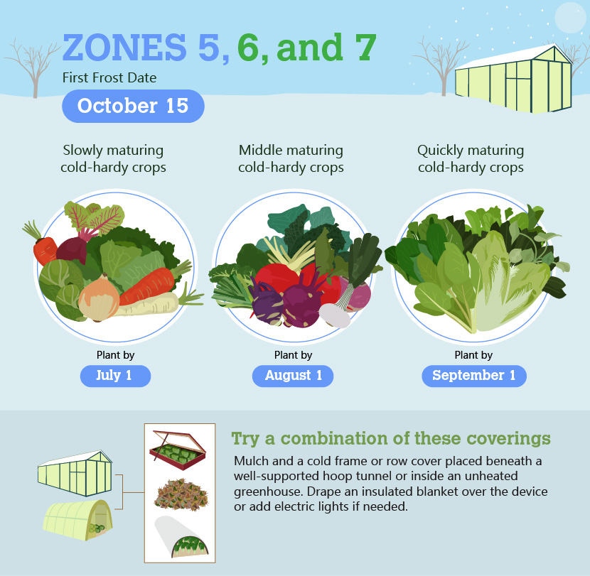 Vegetable Planting Chart Zone 5