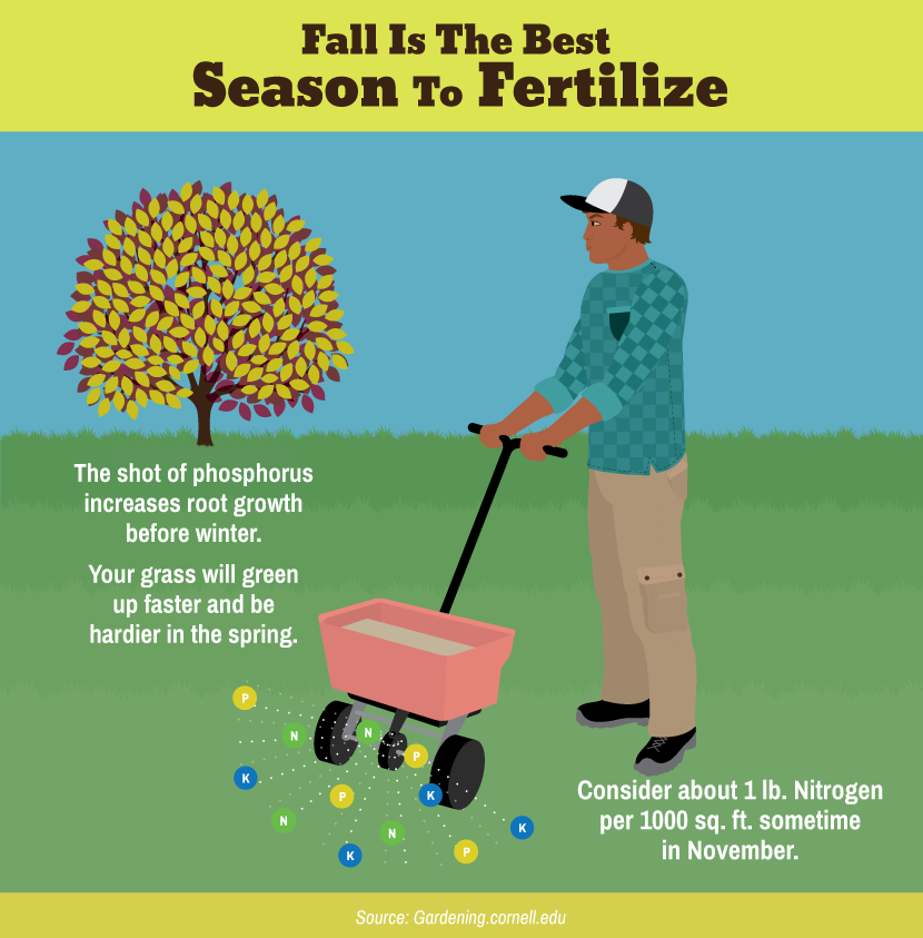 Fall is the Best Season to Fertilize