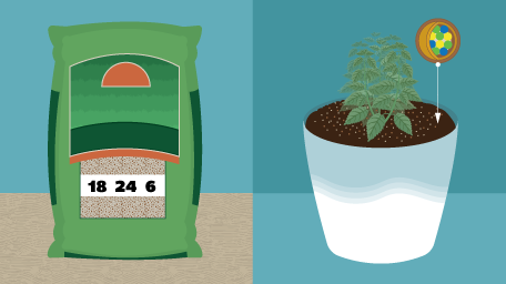 Figuring Out Fertilizers