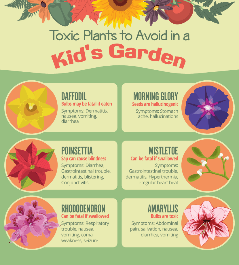 Toxic Plants to Avoid