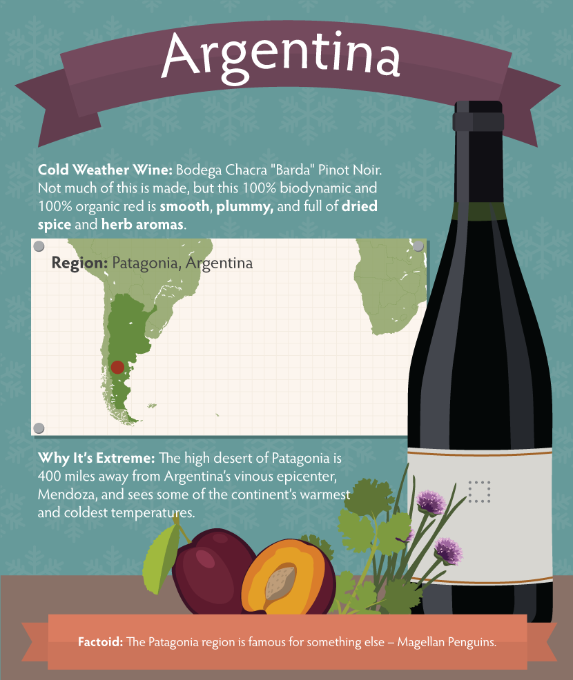 Argentinian Wine