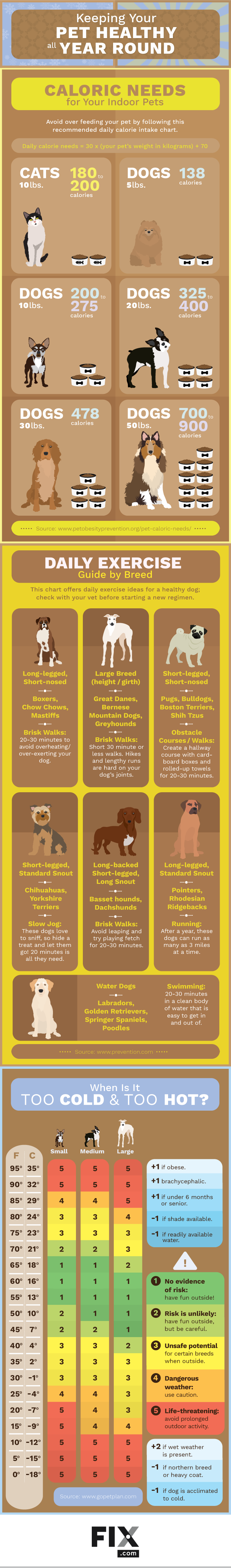 How to Keep Your Pet Healthy All Year Round