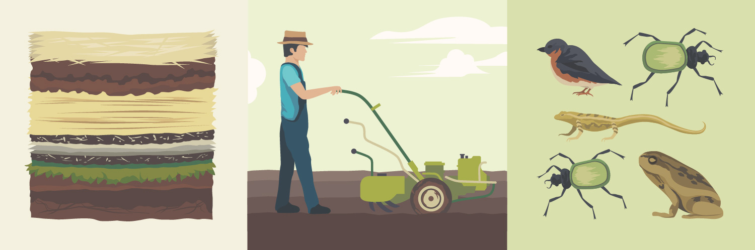 Let Winter Do the Work: Build Fertile Soil with Sheet Mulching