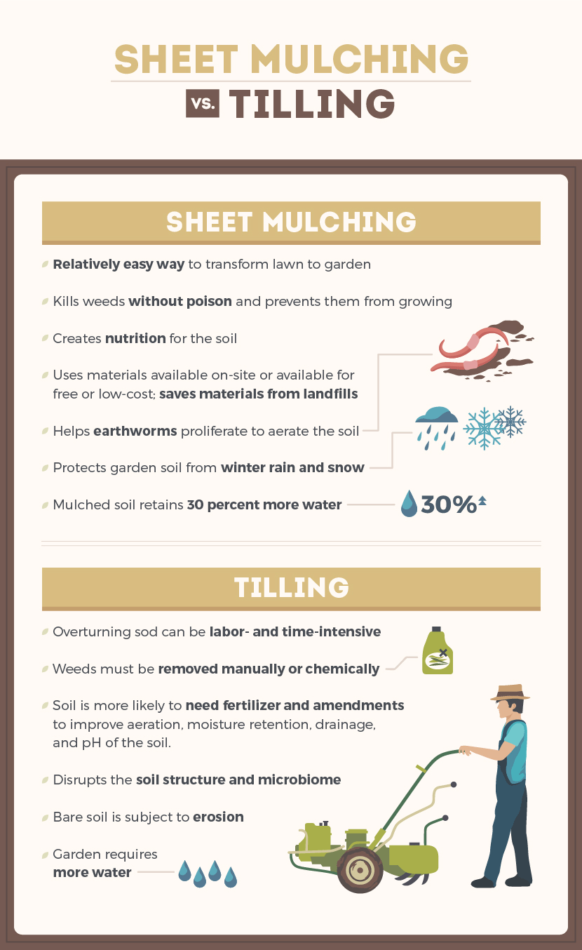 Build Fertile Soil with Sheet Mulching: The Difference Between Sheet Mulching and Tilling