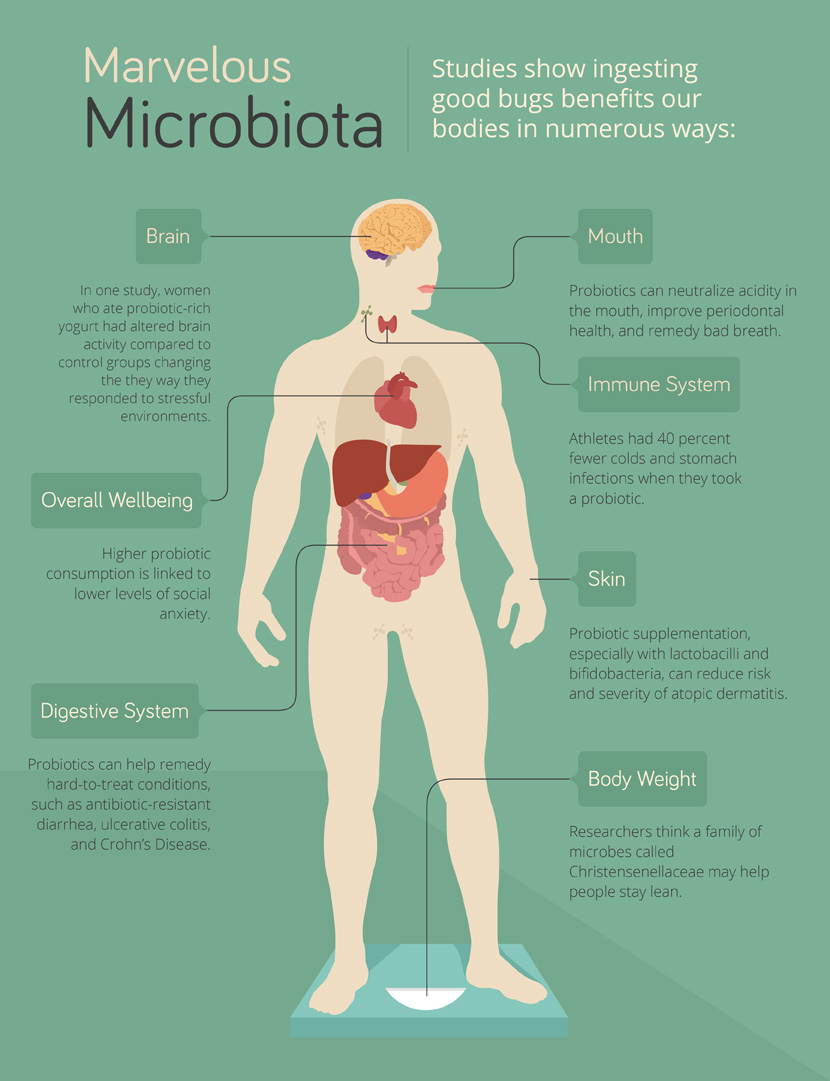 Ways Microbiota is Good For You