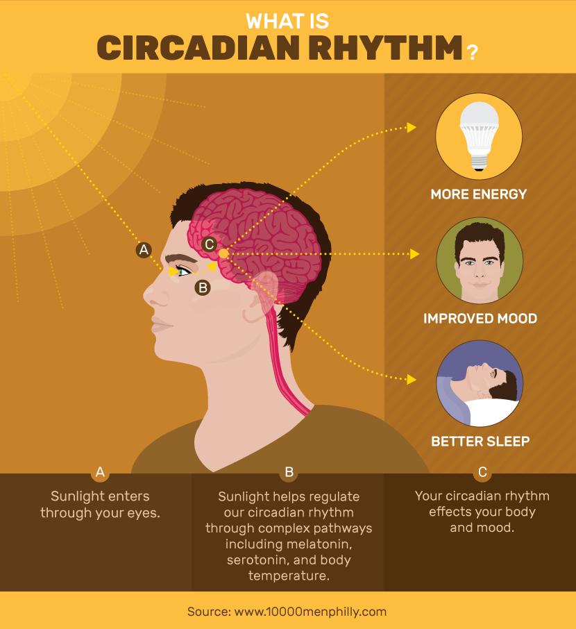Understanding Circadian Rhythm