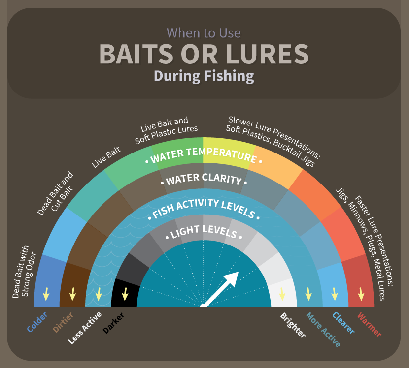 When to use Baits or Lures