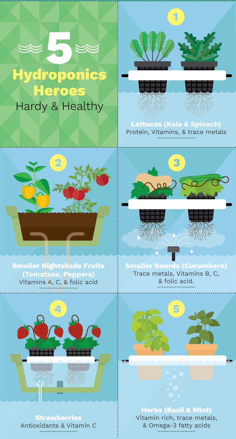 Food to grow using hydroponics