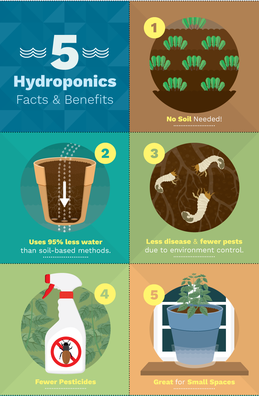 Facts and benefits of hydroponics