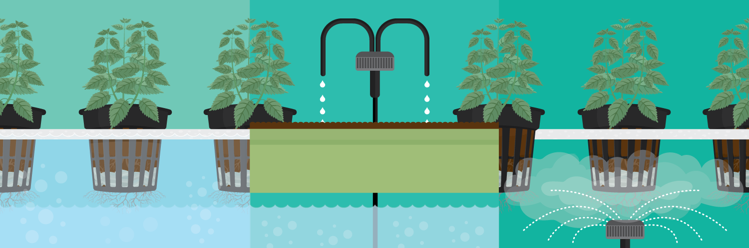 Growing Food Indoors with Hydroponic Gardening
