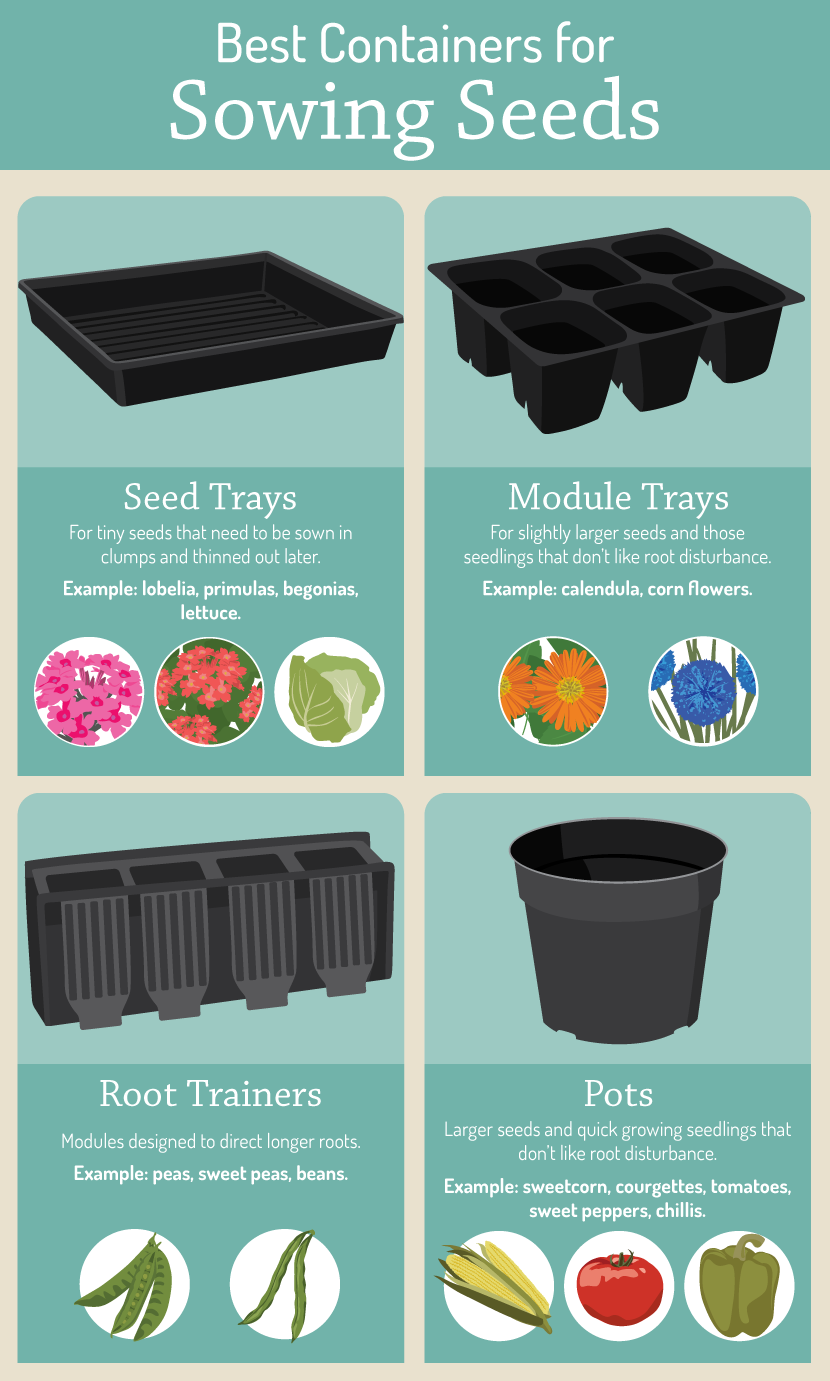 Best containers for sowing seeds