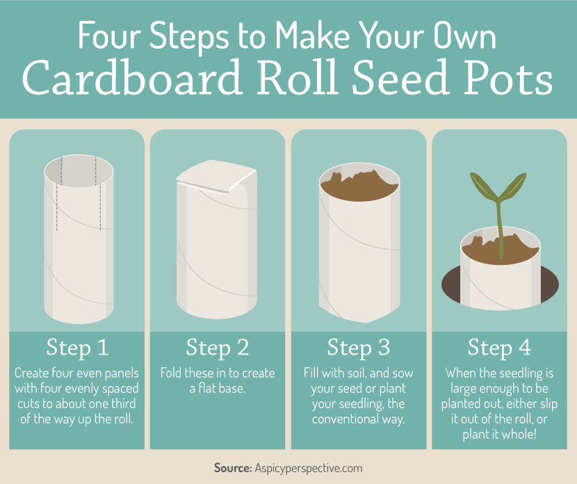 DIY cardboard seed roll pots