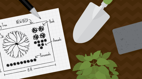 Garden Design Tips