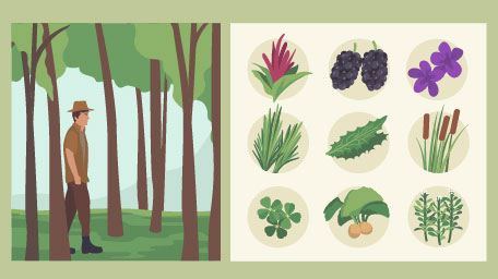 Urban Foraging: The Ultimate in Local Eating