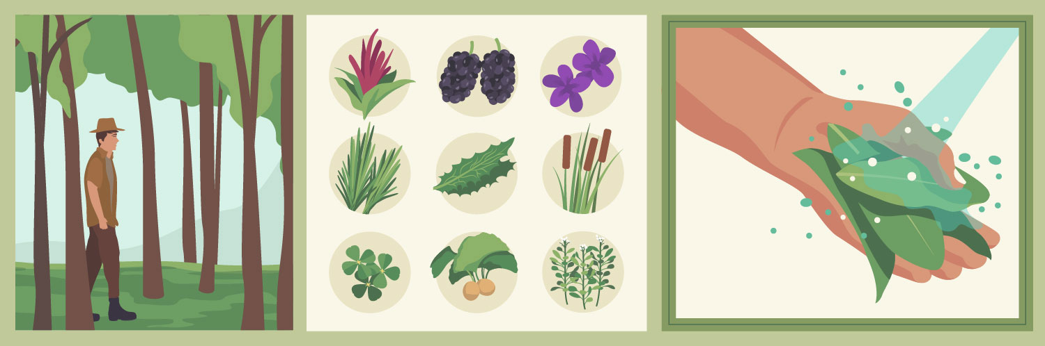 Urban Foraging: The Ultimate in Local Eating