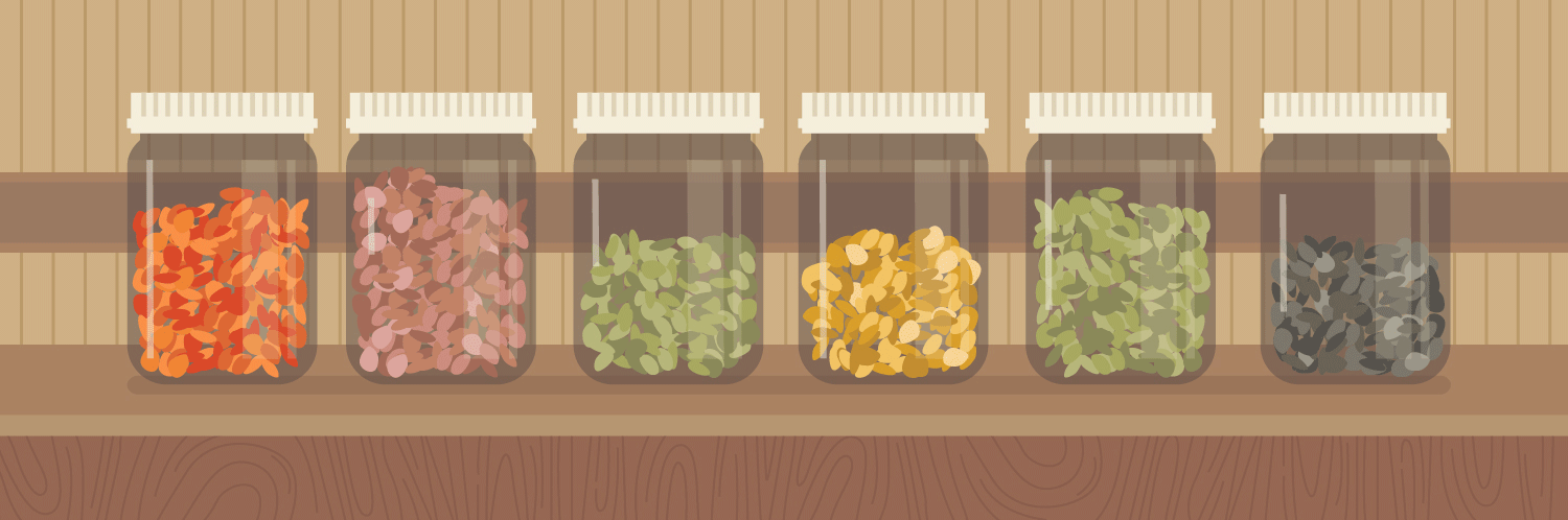 Everything You Need to Know About Lentils
