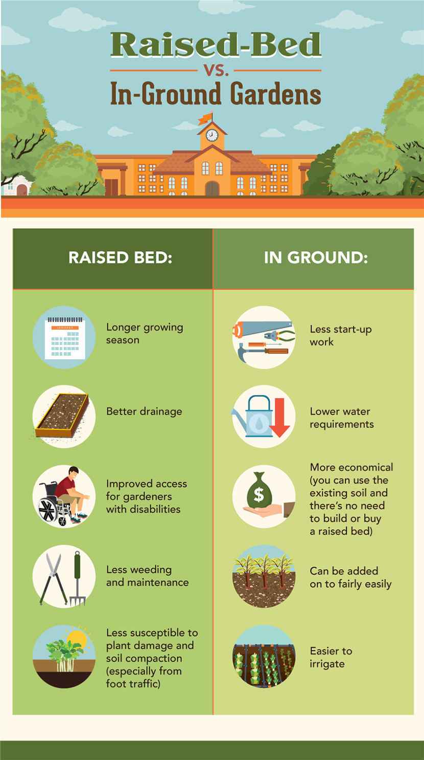 Raised bed gardens vs ground gardens