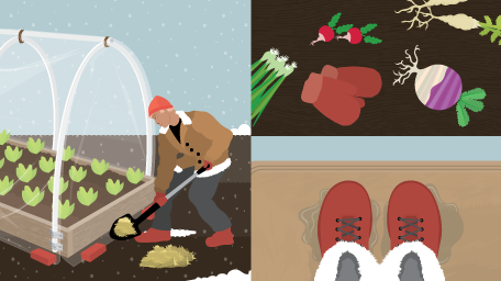 Extending Your Growing Season
