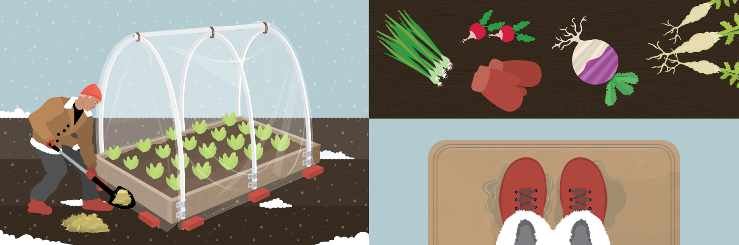 Extending Your Growing Season
