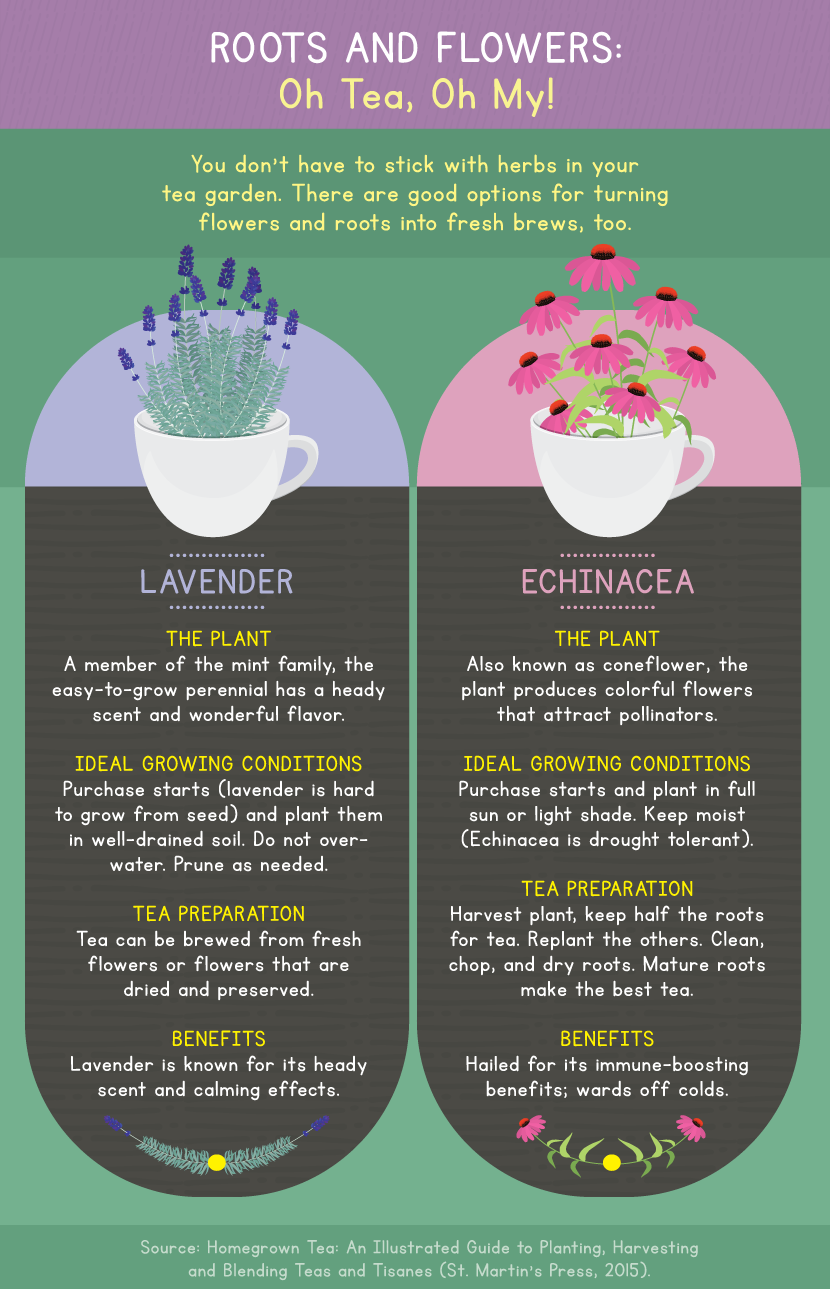Flowers Used in Tea