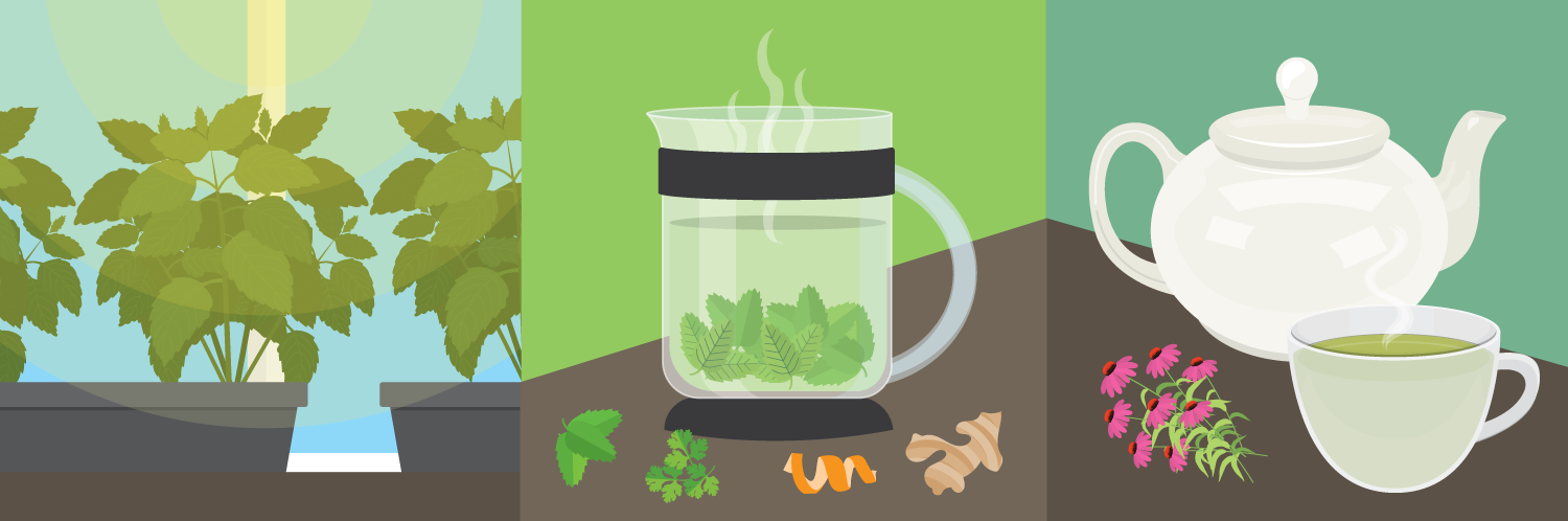 Grow a Tea Garden