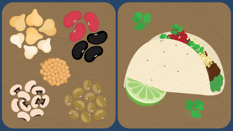 Everything You Need to Know about Pulses