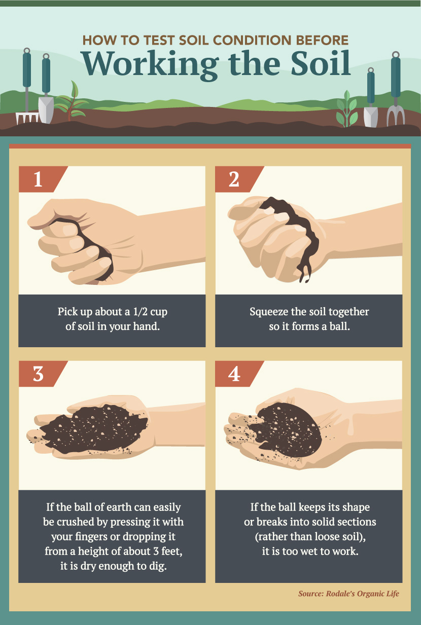 How to Test Soil Condition Before Working the Soil
