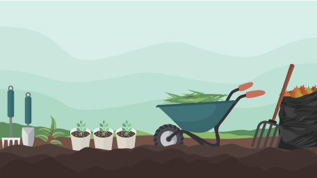 How to Prep Your Garden for Spring Planting