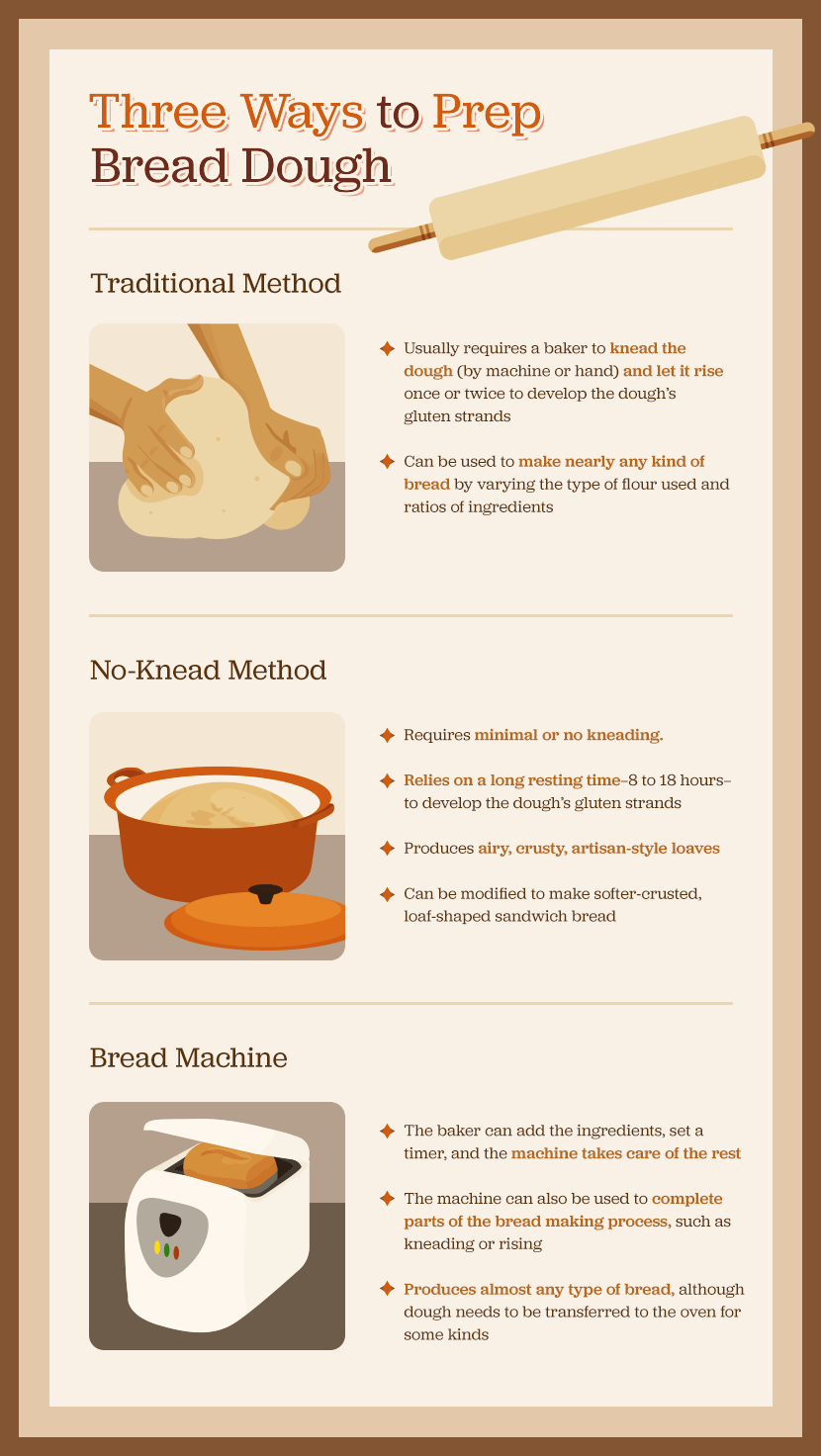 Bread Making Explained At Lynda Rahman Blog Bread Making Explained At Lynda Rahman Blog