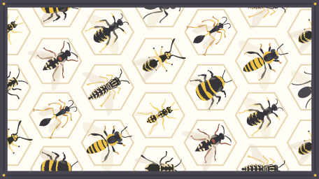 Buzz Buzz: How to Coexist with Bees and Wasps