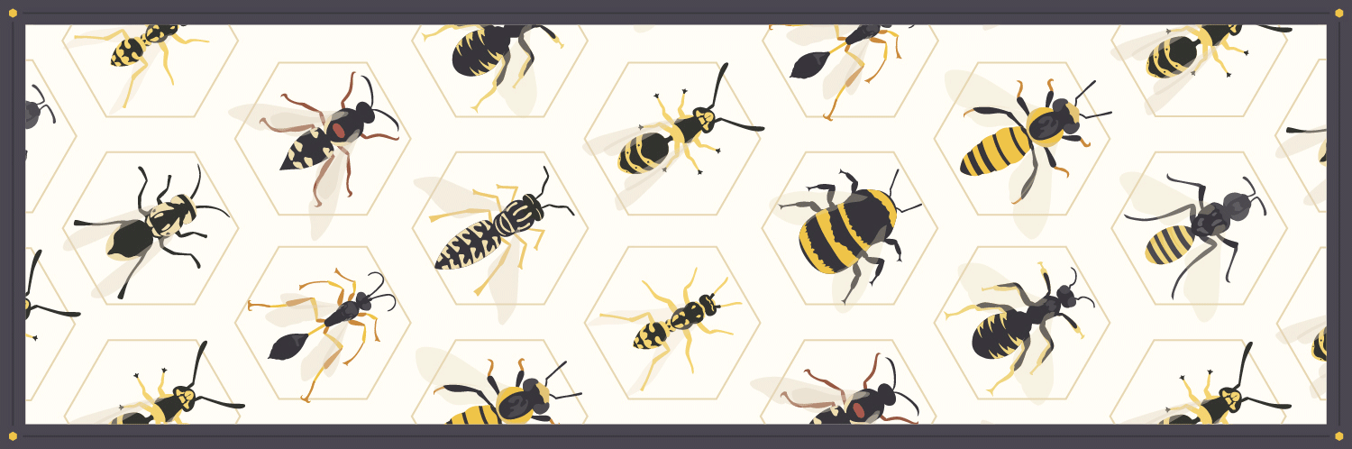 Buzz Buzz: How to Coexist with Bees and Wasps