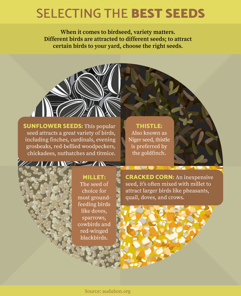 Seeds to use as birdseed