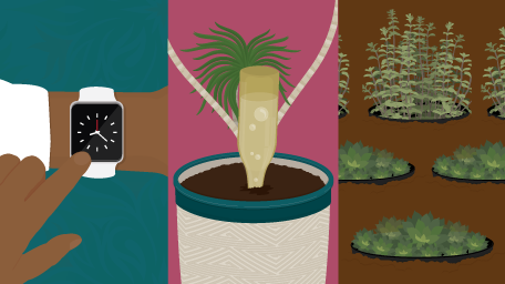 Gardening Hacks for People Low on Time