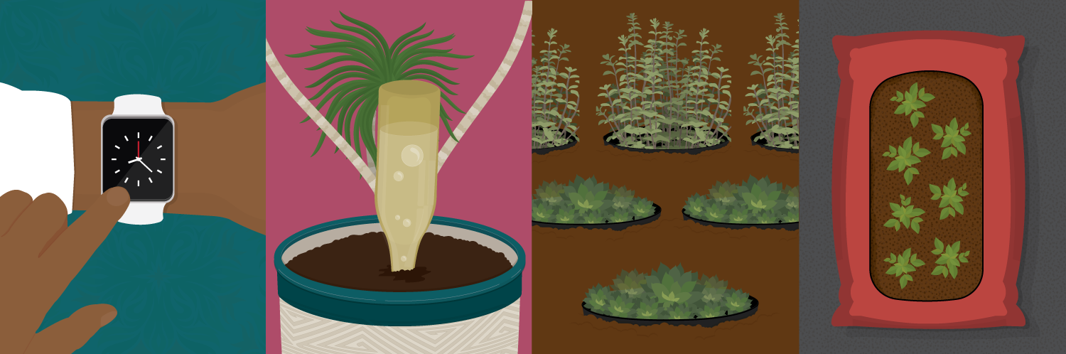 Gardening Hacks for People Low on Time