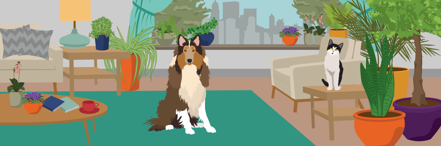How to Grow Houseplants without Harming Your Pets