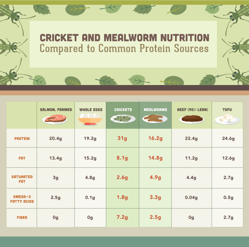 Eating Insects: Mealworm Nutritional Information 