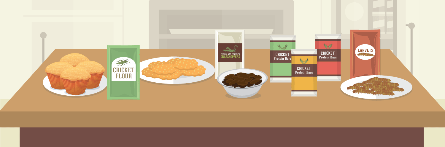 Edible Insects: The Alternative Protein People are Buzzing About