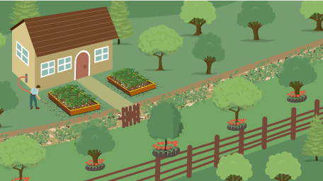 Approach First-Time Permaculture Like a Pro