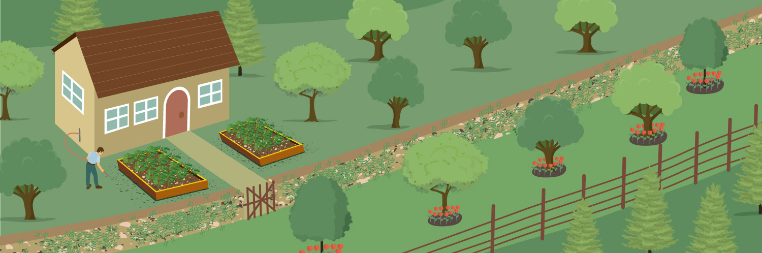 Approach First-Time Permaculture Like a Pro