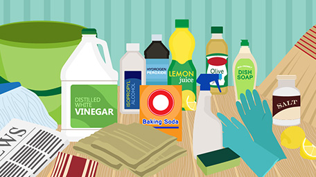 Room-by-Room Spring Cleaning the Green Way