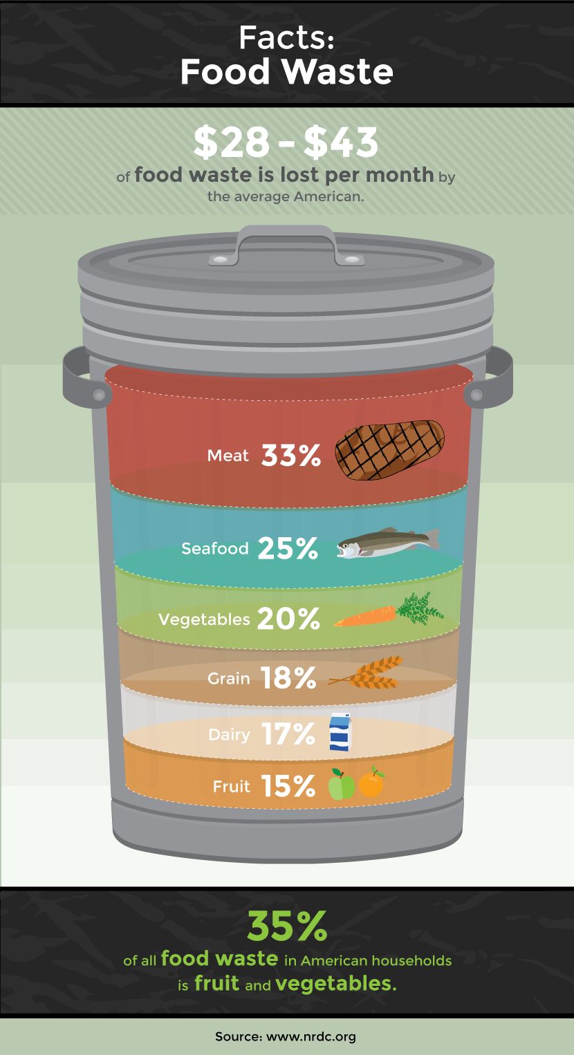 Regrow Vegetables from Scraps: Facts on Food Waste