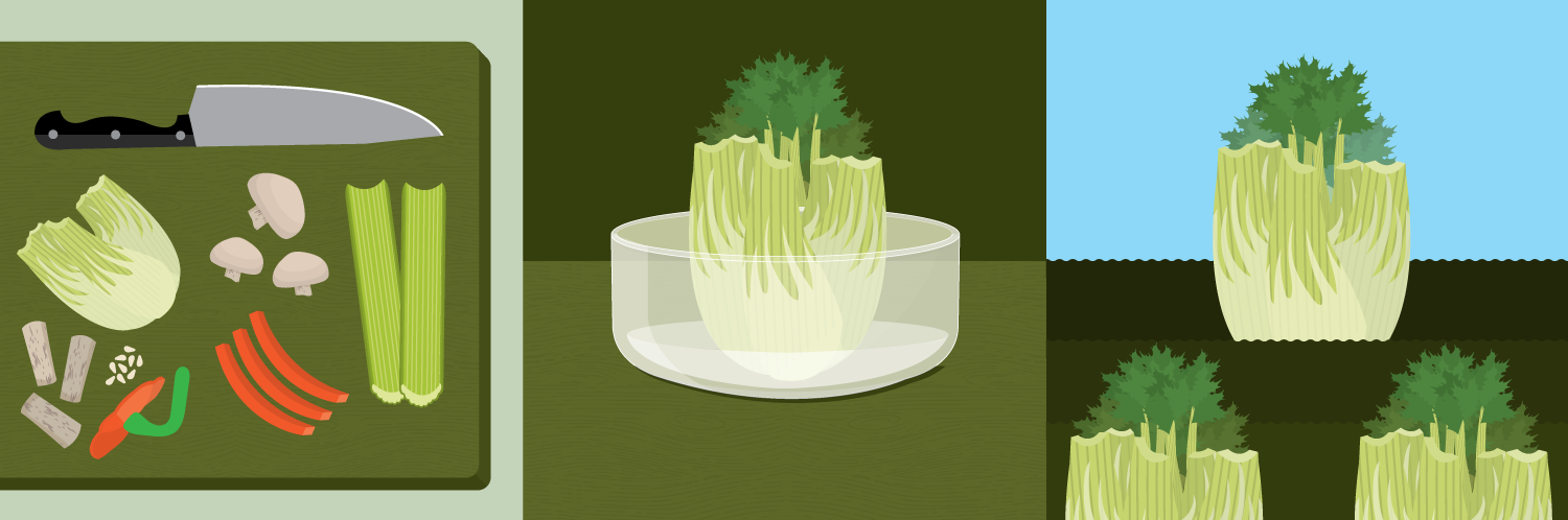 From Scraps to the Table