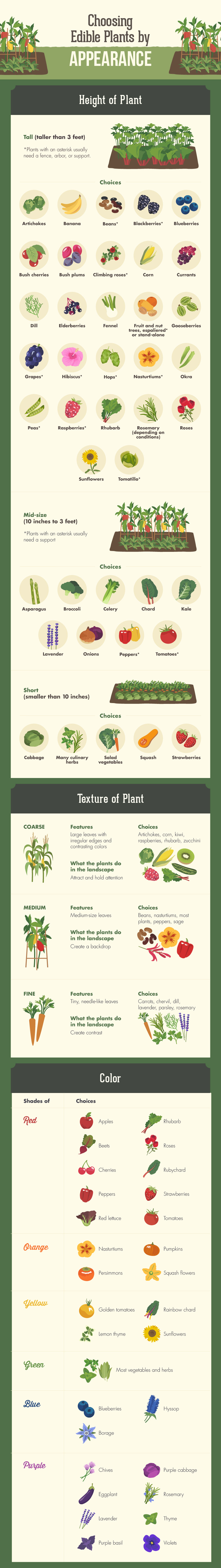 Blending Edible Landscape with Decorative: Edible Plants Sorted by Appearance