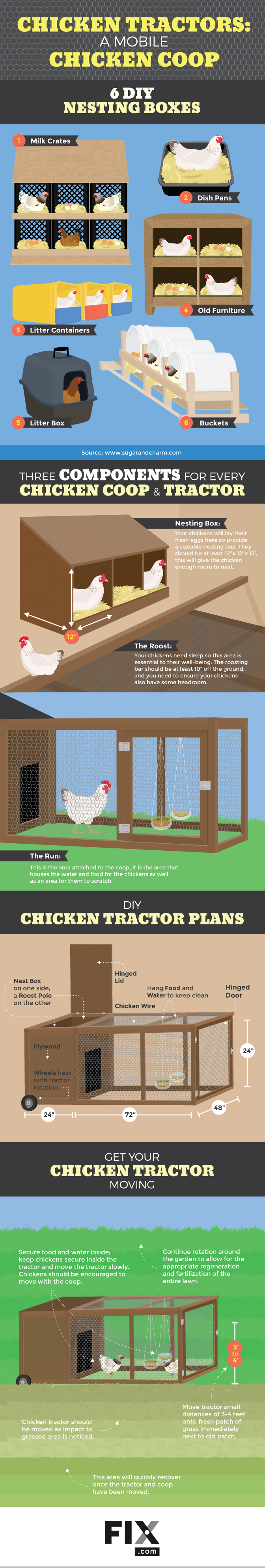 How to Free-Range Your Chickens in the Garden