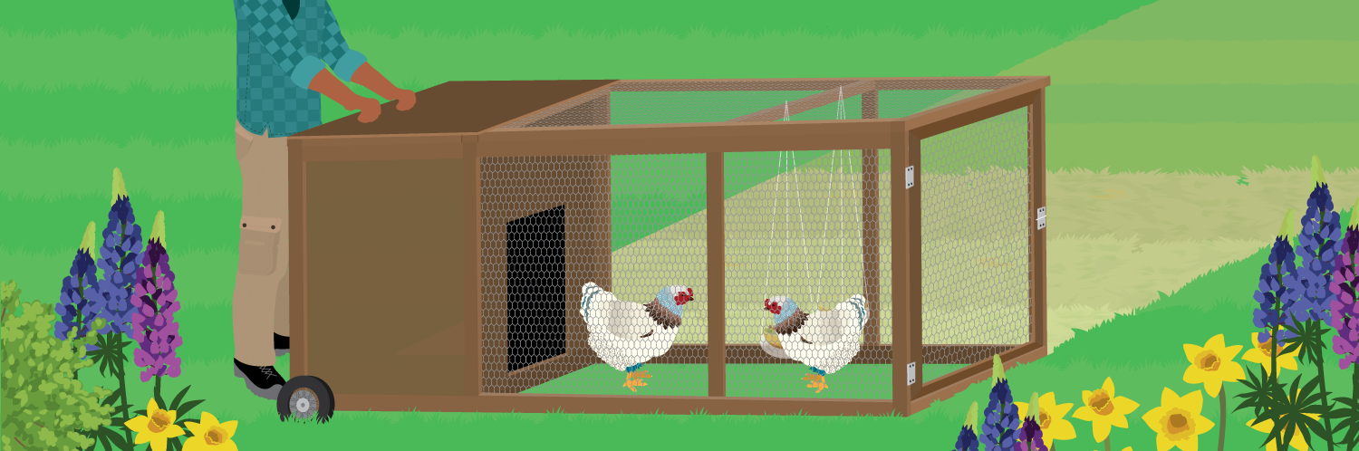 The Chicken Tractor: A Mobile Chicken Coop