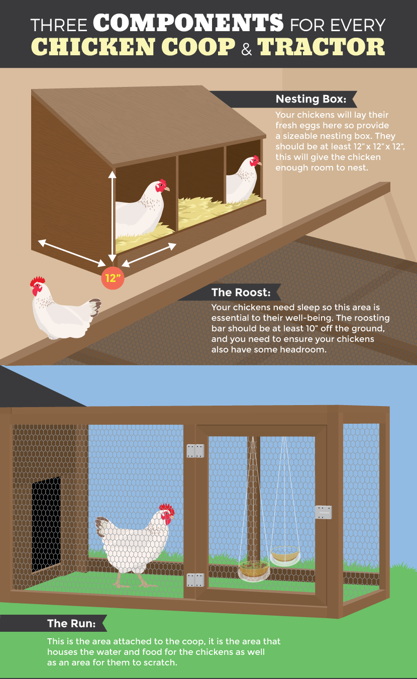 Plan For A Chicken Tractor Fixcom