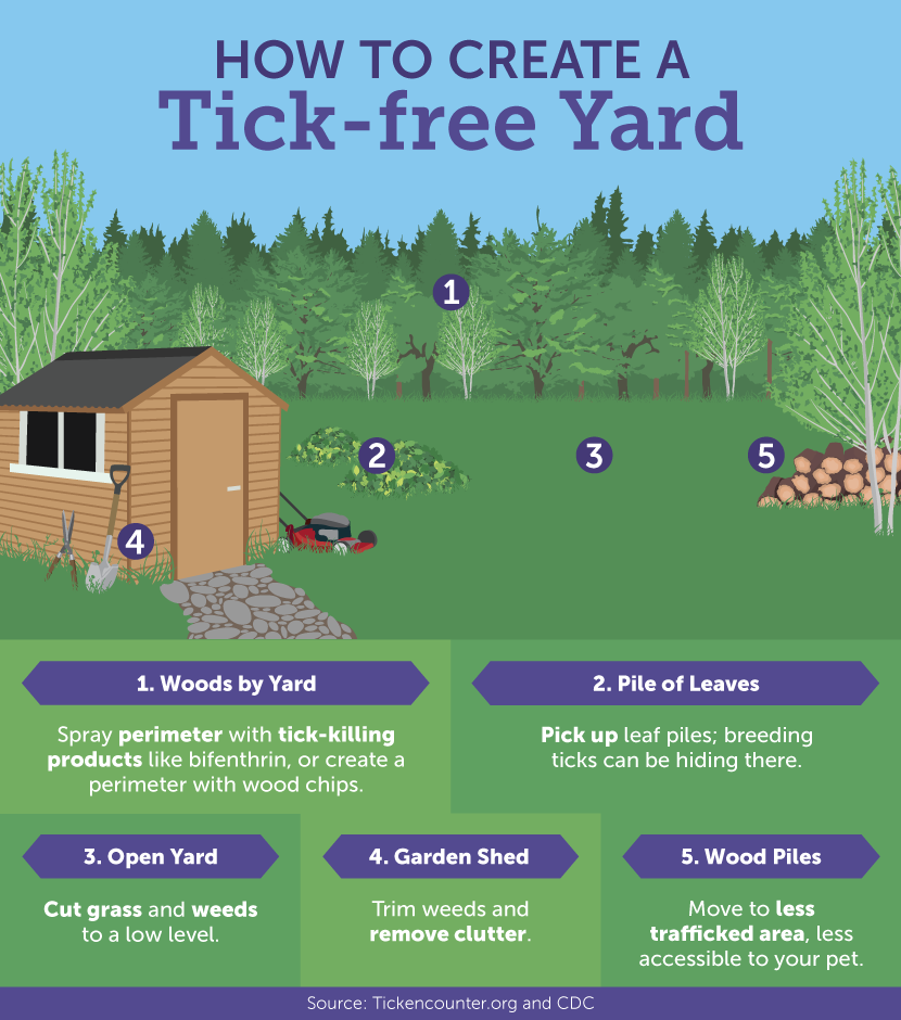 Creating a Tick-Free Yard